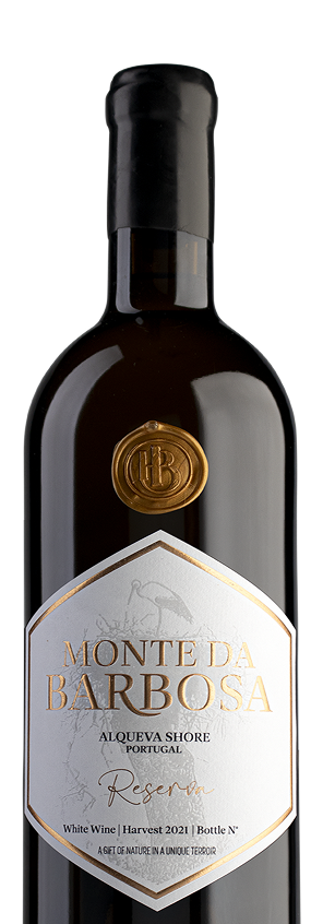 Vinho Branco